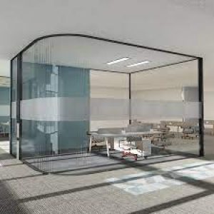 Office Partition Windows Glass ​